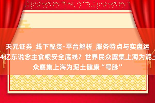 天元证券_线下配资-平台解析_服务特点与实盘运作 怎样守好14亿东说念主食粮安全底线？世界民众麇集上海为泥土健康“号脉”