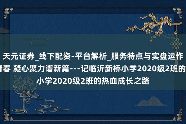 天元证券_线下配资-平台解析_服务特点与实盘运作 动静稳当育青春 凝心聚力谱新篇---记临沂新桥小学2020级2班的热血成长之路