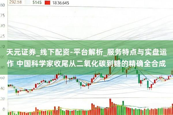 天元证券_线下配资-平台解析_服务特点与实盘运作 中国科学家收尾从二氧化碳到糖的精确全合成