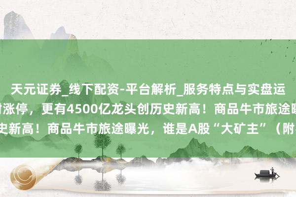 天元证券_线下配资-平台解析_服务特点与实盘运作 爆了，一度百万手封涨停，更有4500亿龙头创历史新高！商品牛市旅途曝光，谁是A股“大矿主”（附名单）