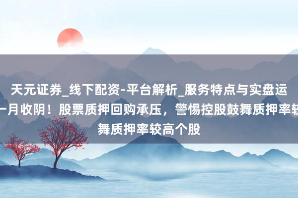 天元证券_线下配资-平台解析_服务特点与实盘运作 A股一月收阴！股票质押回购承压，警惕控股鼓舞质押率较高个股