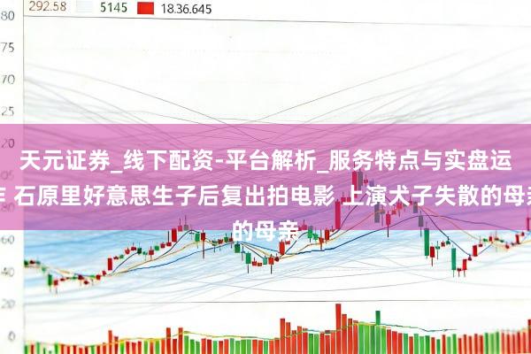 天元证券_线下配资-平台解析_服务特点与实盘运作 石原里好意思生子后复出拍电影 上演犬子失散的母亲